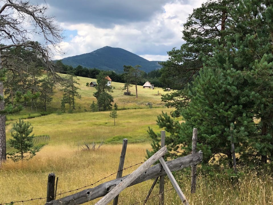 Vila ZLATNI BOR Chalet in Zlatibor District, Serbia