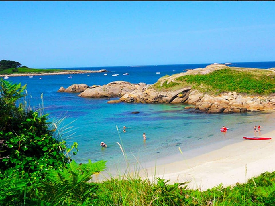 Maison familiale avec jardin près de la plage, animaux acceptés - FR-1-542-18 House in Trégastel