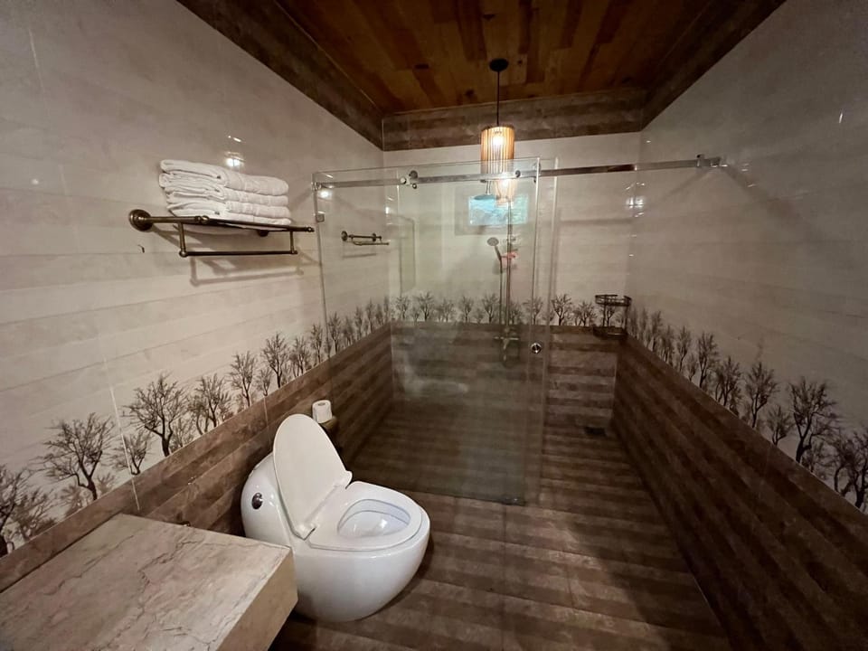 Shower, Toilet, Toilet, Bathroom