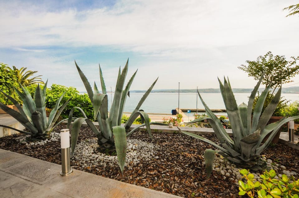 Patio, Sea view
