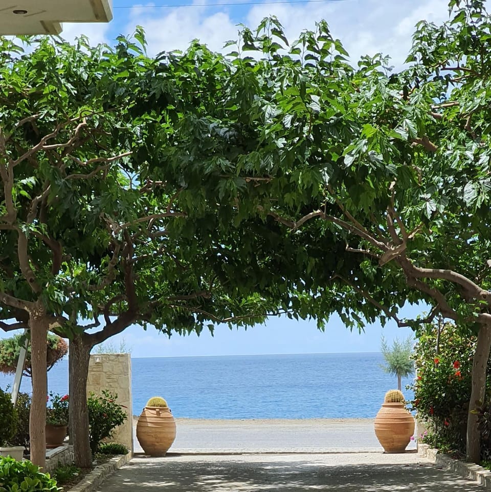 Facade/entrance, Garden