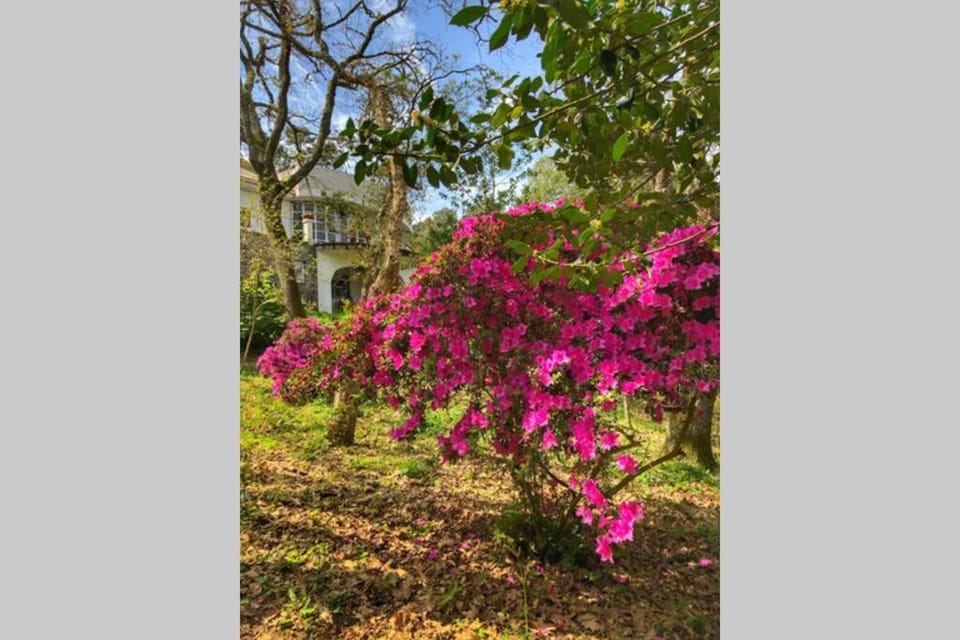 Off site, Garden