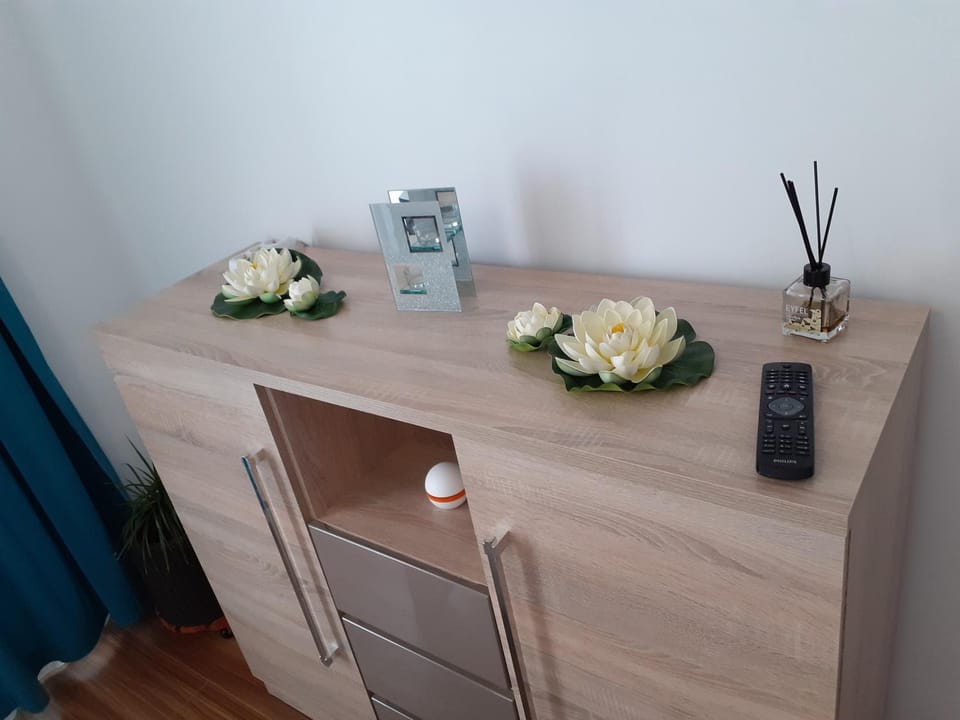 Apartament Amy Apartment in Constanța County