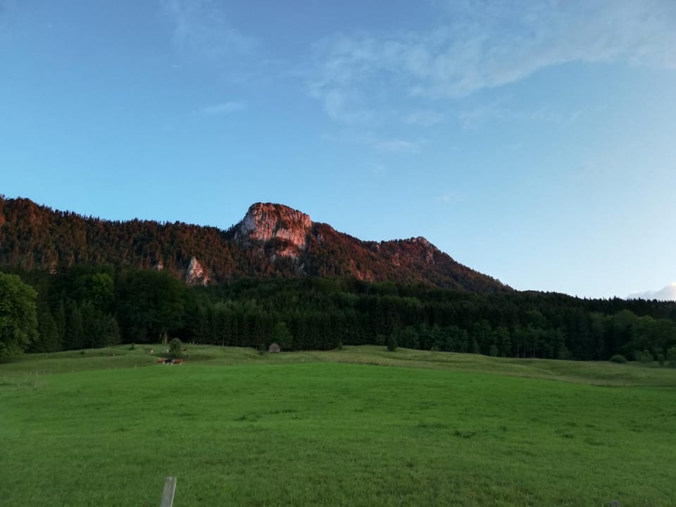 Am Mondseeblick Apartment in Mondsee