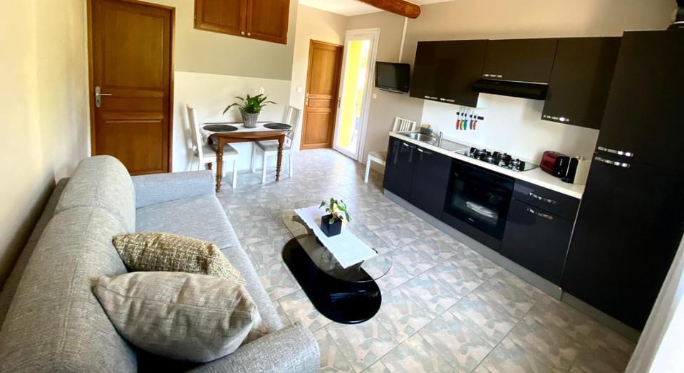 Vue panoramique sur le château,montagne et grottes Apartment in Fontaine-de-Vaucluse