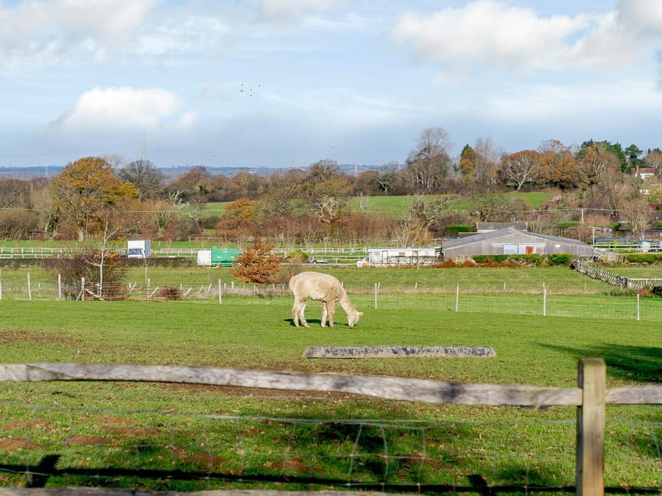 Area and facilities