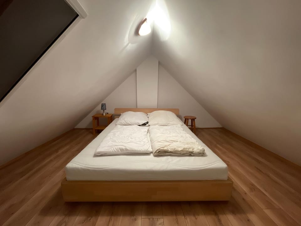 Hospoda-Ferienhaus am Olba-See Apartment in Saxony