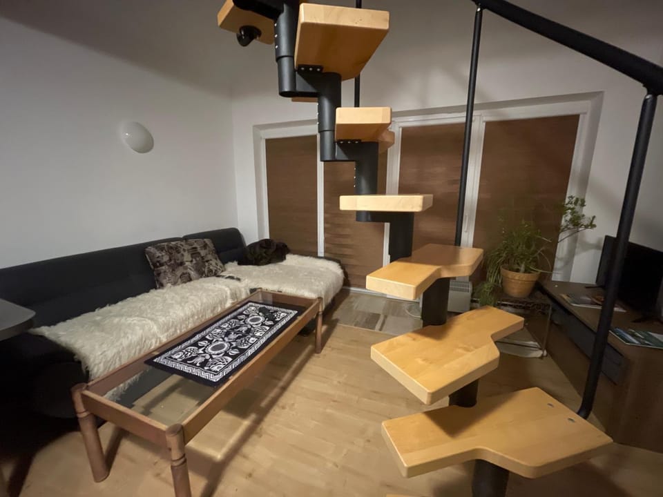 Hospoda-Ferienhaus am Olba-See Apartment in Saxony