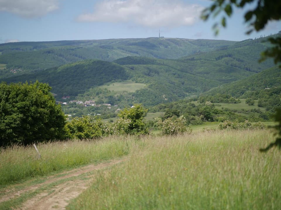 Natural landscape, Mountain view