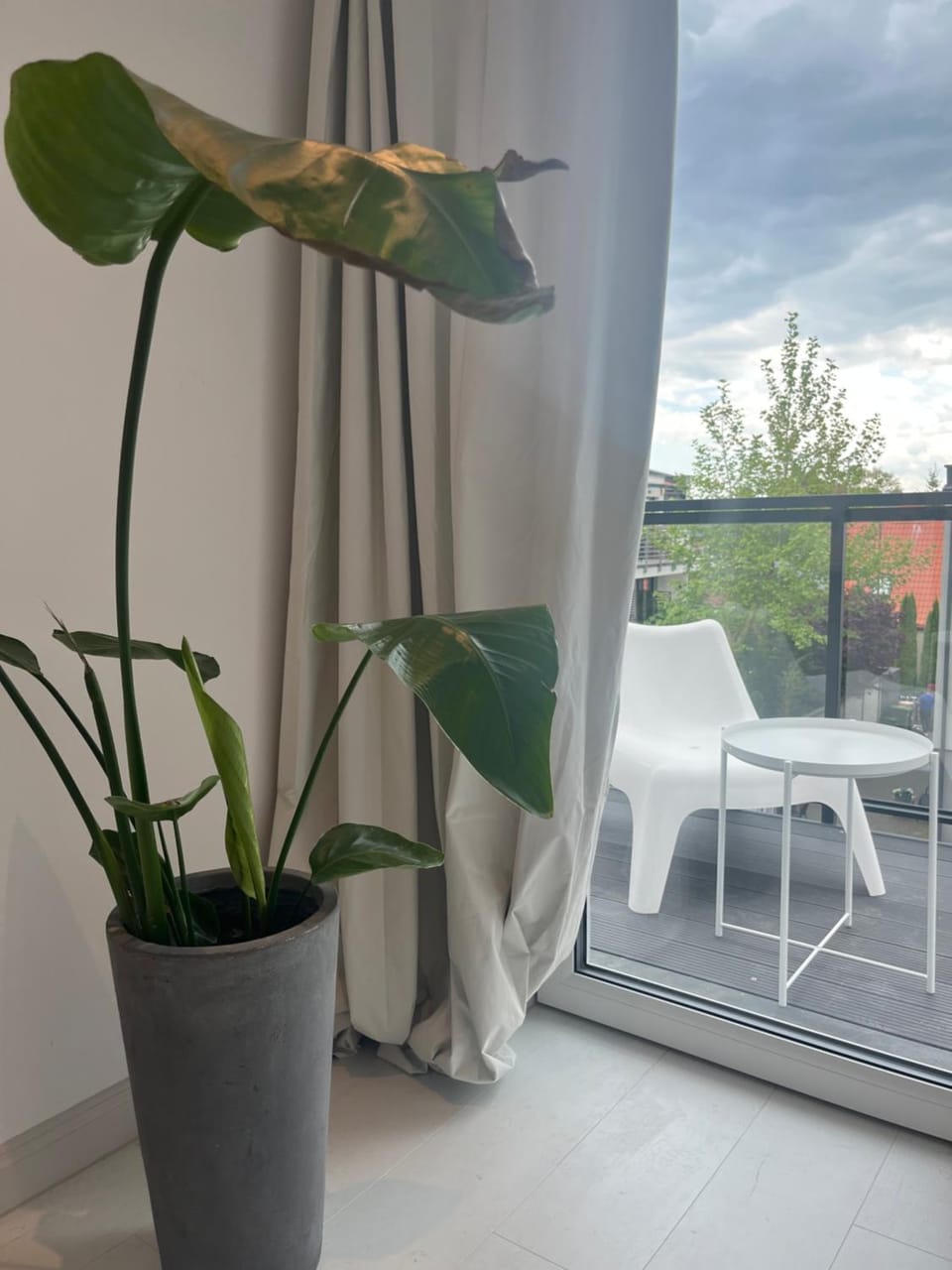 Pod Różą Bed and Breakfast in Leba