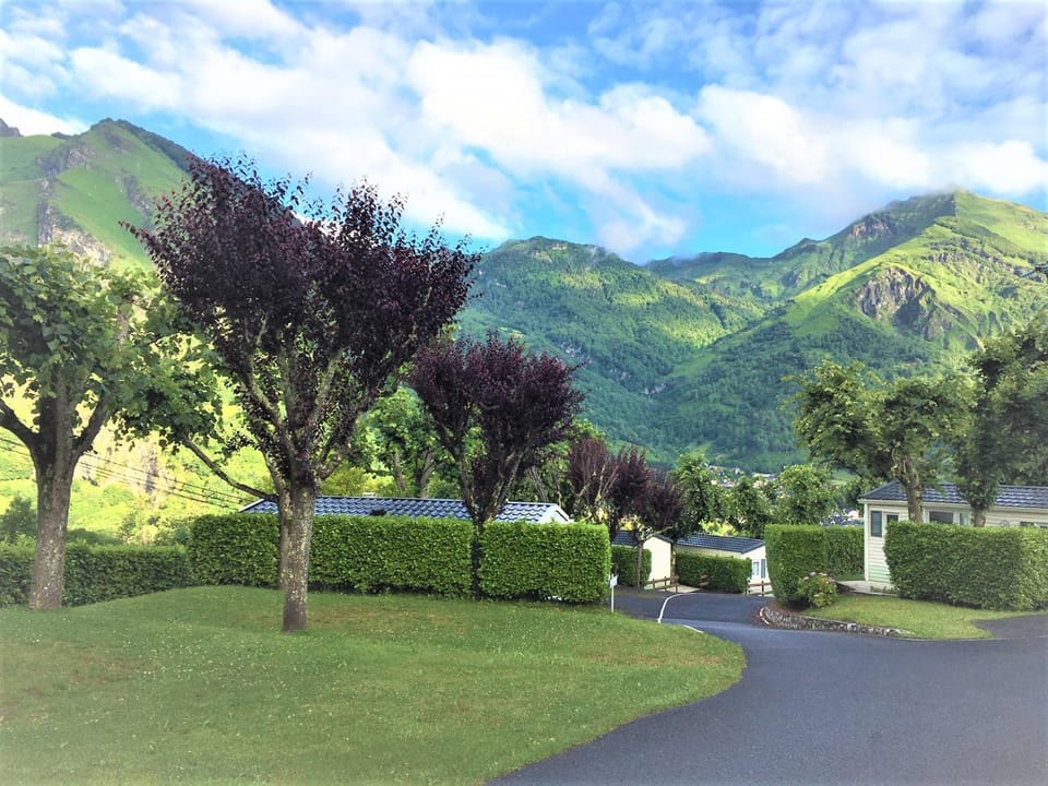 Mountain view