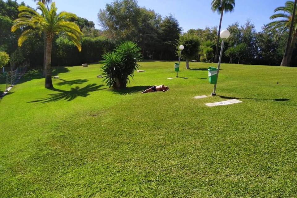 Garden view