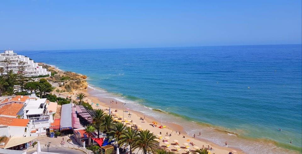 Bird's eye view, Beach, Sea view