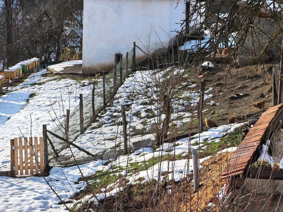 Породично газдинство Вучићевић Porodično gazdinstvo Vučićević Apartment in Zlatibor District, Serbia