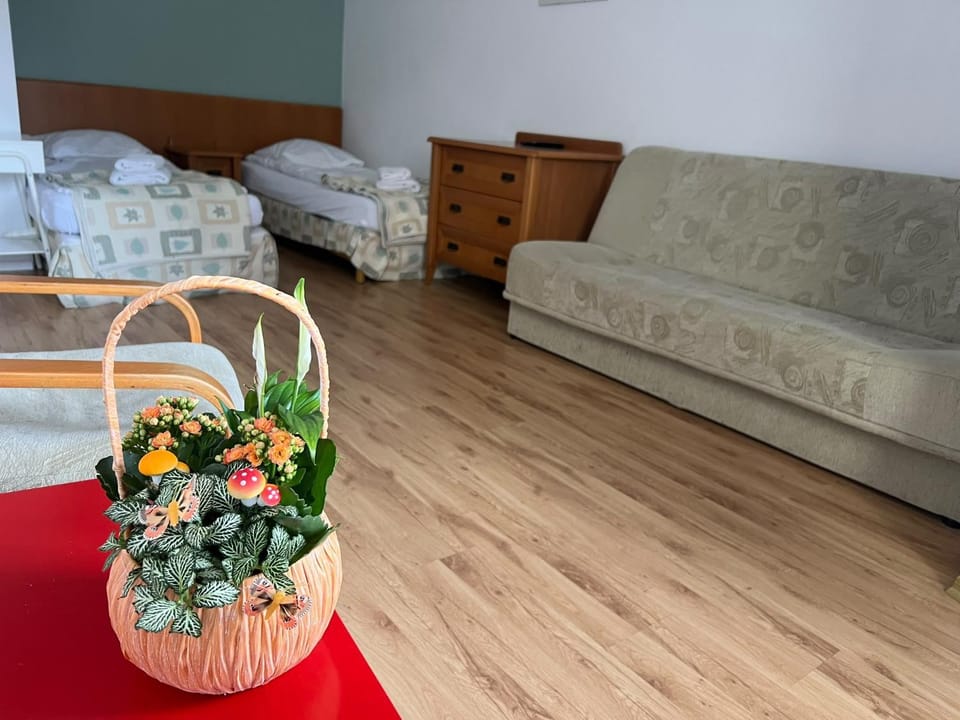 AL-DOM Apartamenty Olymp Kamma Apartment in West Pomeranian Voivodeship, Poland