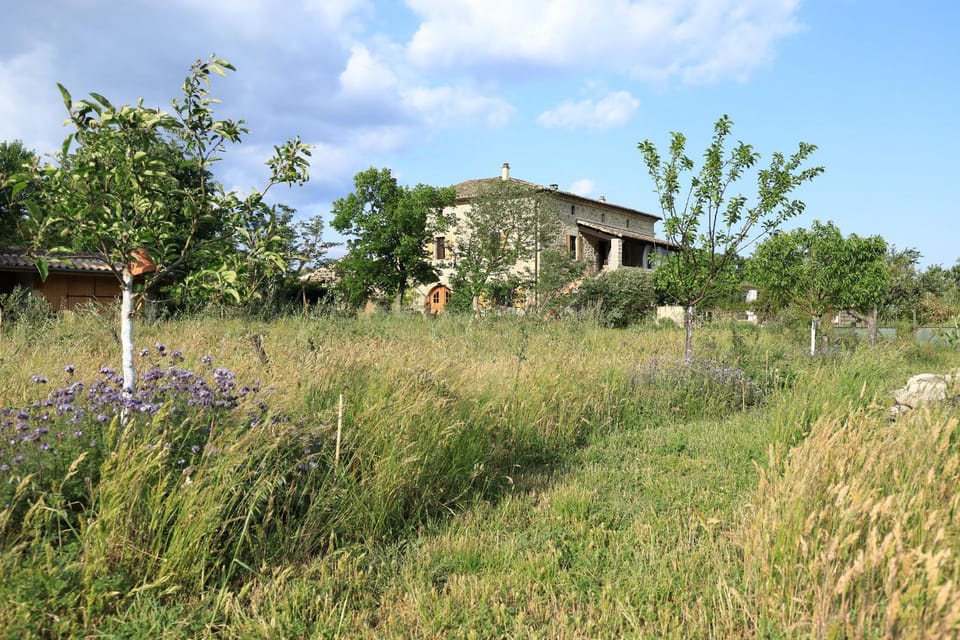 La Gourmandine Bed and Breakfast in Auvergne-Rhône-Alpes