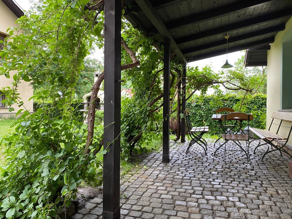 Patio, Garden