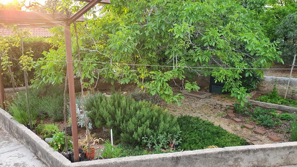 Garden, Garden, Coffee/tea facilities, Balcony/Terrace, Garden view