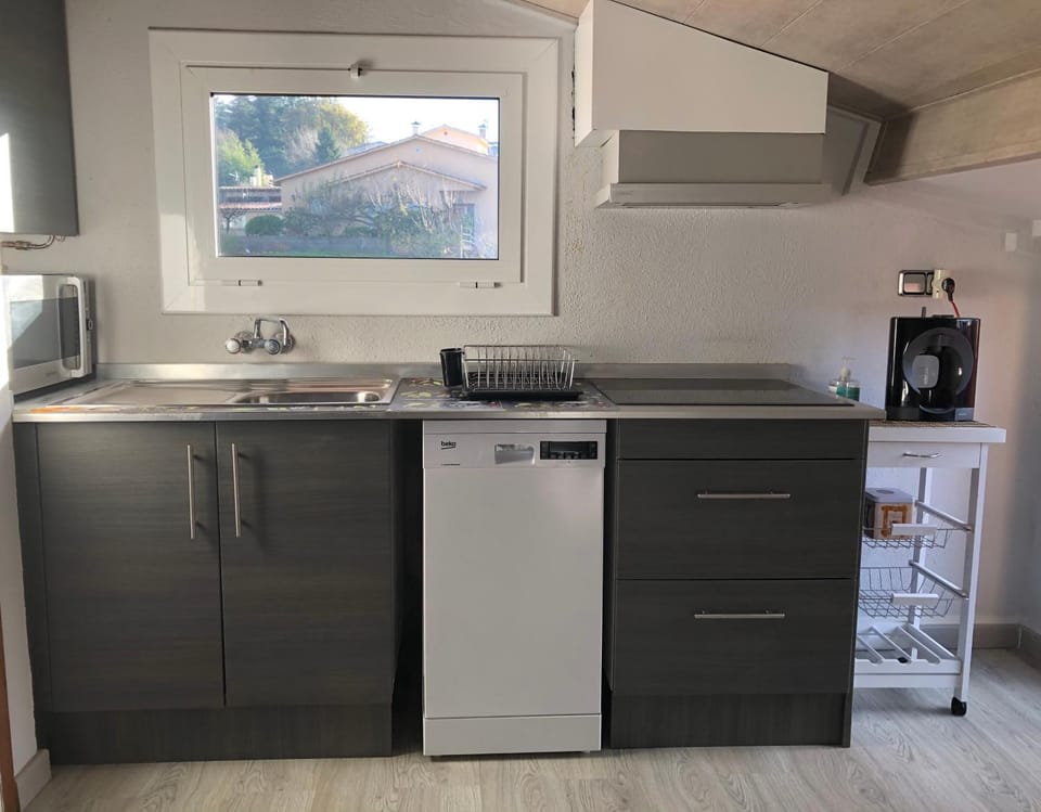 Apartaments els Pins - Sant Hilari Sacalm Apartment in Selva