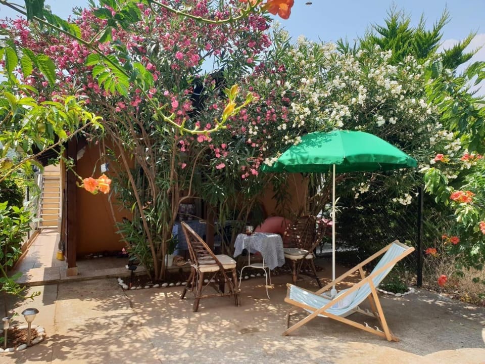 Day, Garden, Area and facilities, sunbed