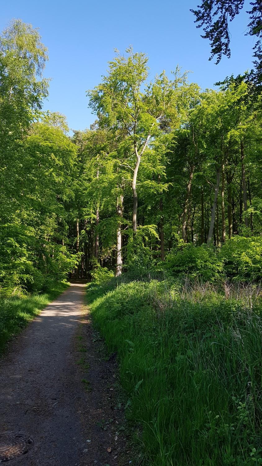 Natural landscape, Hiking