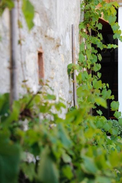 Romantic Boutique Hospitality Bed and Breakfast in Trentino-South Tyrol