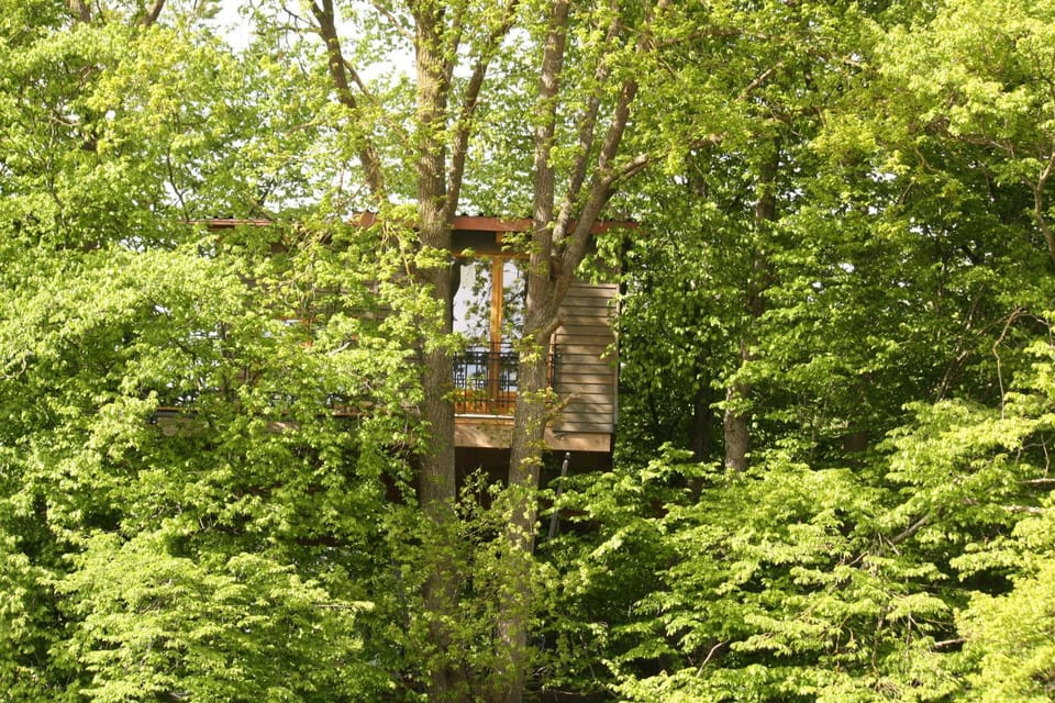 Property building, Garden
