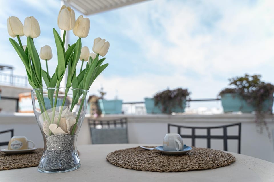 Patio, Balcony/Terrace, Balcony/Terrace, Area and facilities