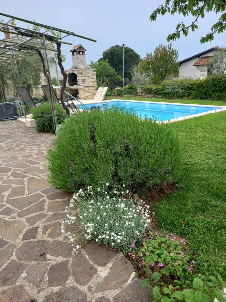 Apartments Leone Apartment in Istria County
