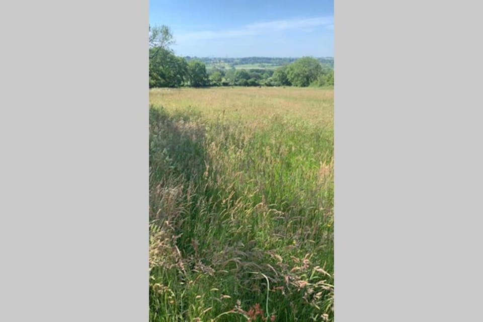 Apple Tree Hut Apartment in Wales