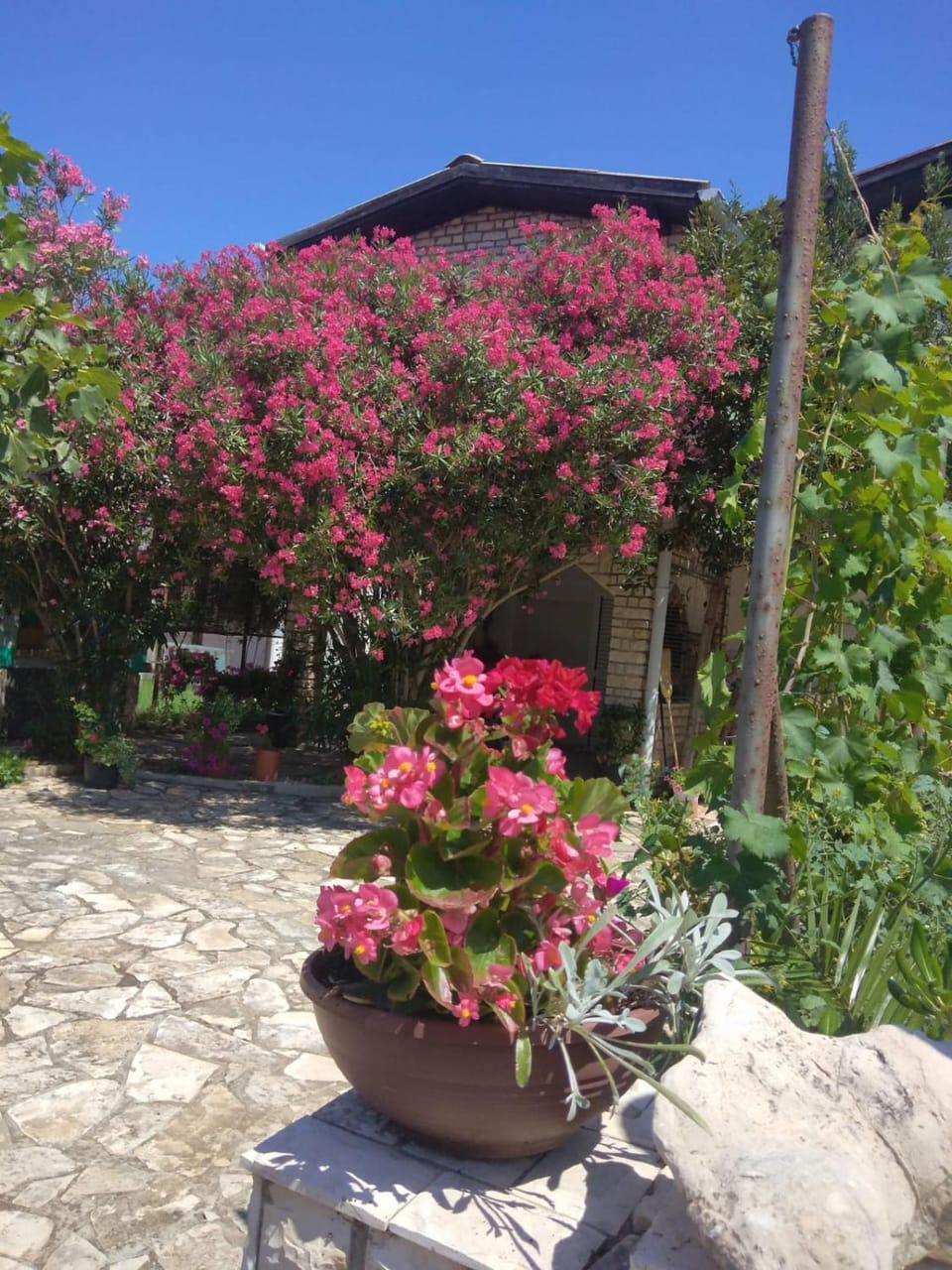 Apartman Lu Apartment in Zadar County