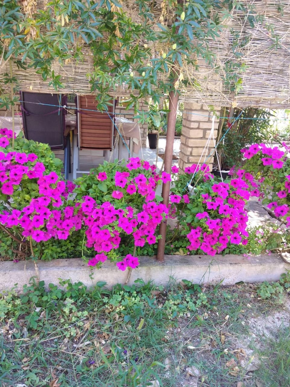 Apartman Lu Apartment in Zadar County