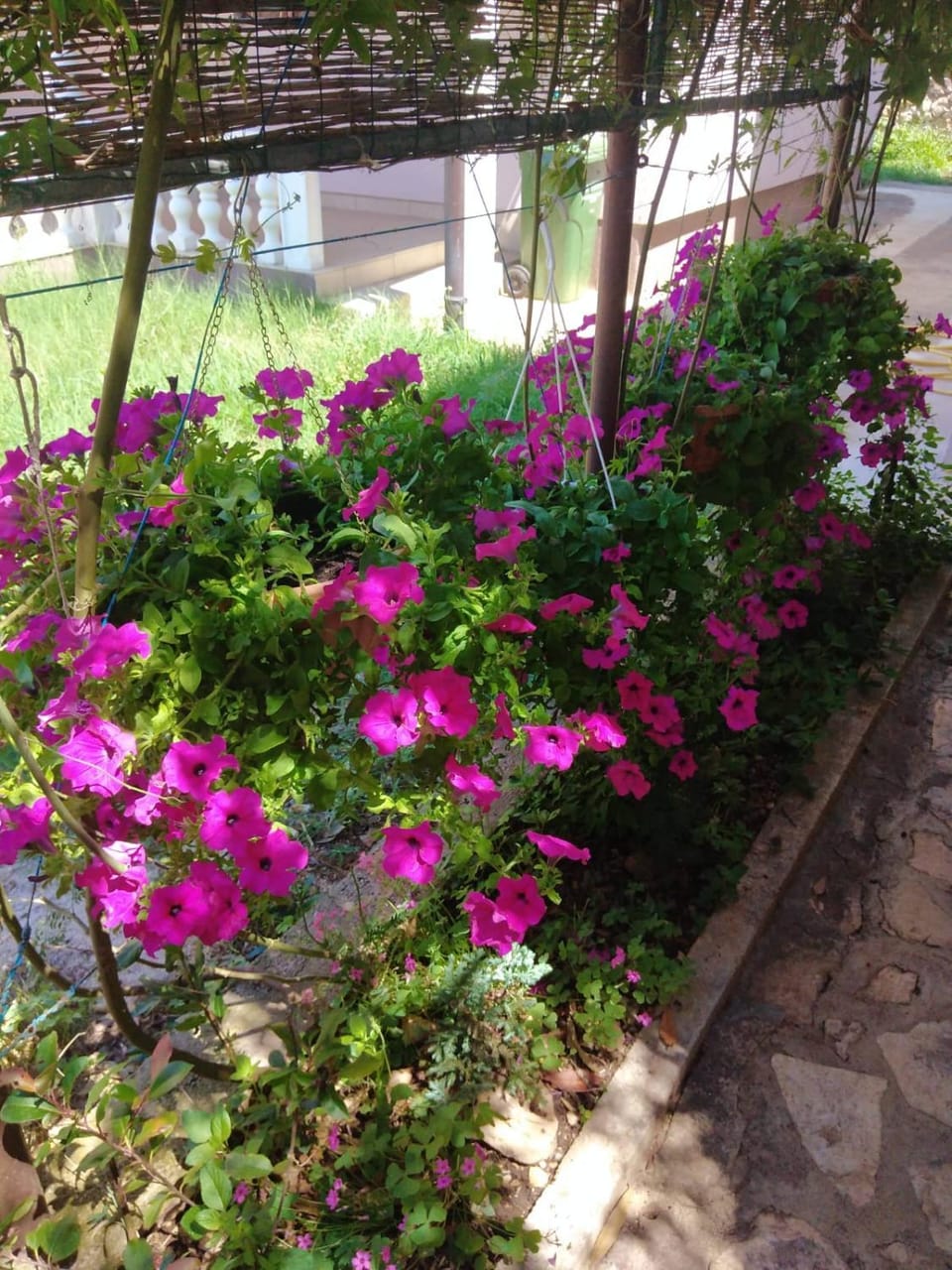 Apartman Lu Apartment in Zadar County