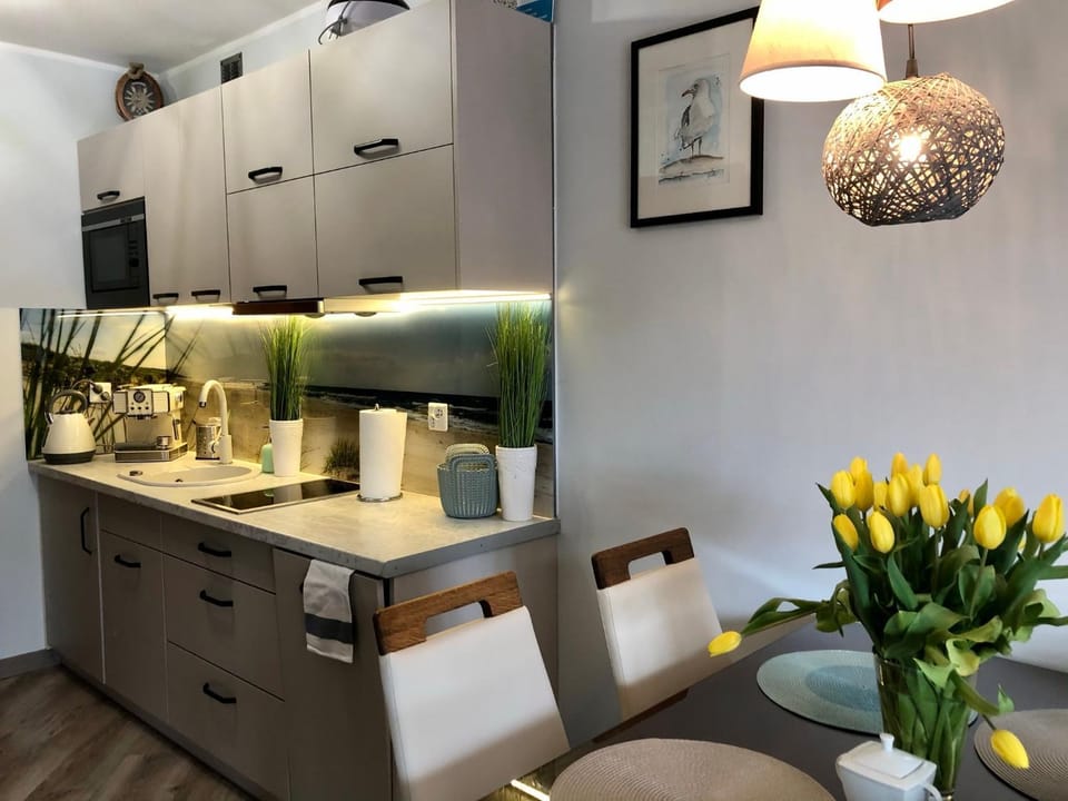 Coffee/tea facilities, Kitchen or kitchenette, Dining area, dishwasher, minibar