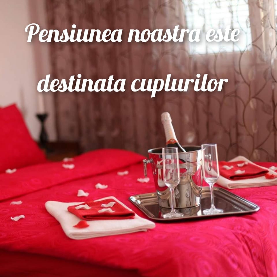 Vila Floarea Etiquette Bed and Breakfast in Constanța County