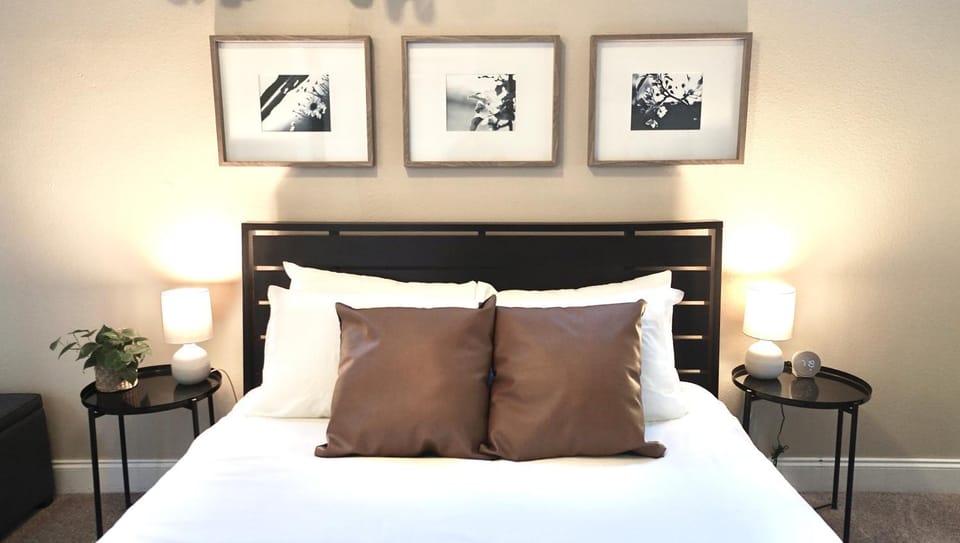 Gorgeous Guest Suite - Walk to Old Town and CSU! Apartment in Fort Collins