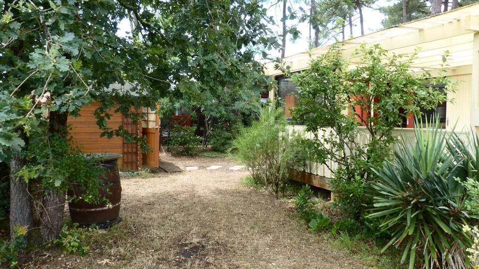 Garden, Garden view