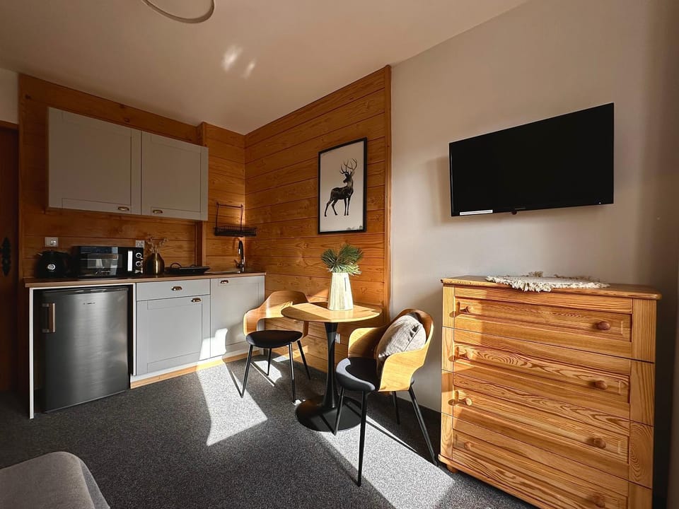 Kitchen or kitchenette, oven, stove