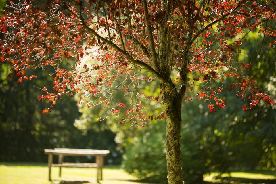 Pedreiras Cottage Rias Baixas House in Galicia