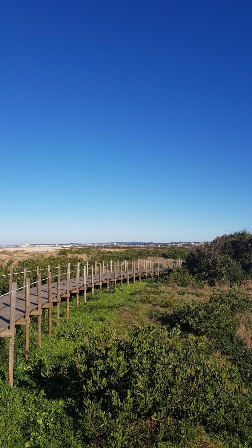 Natural landscape