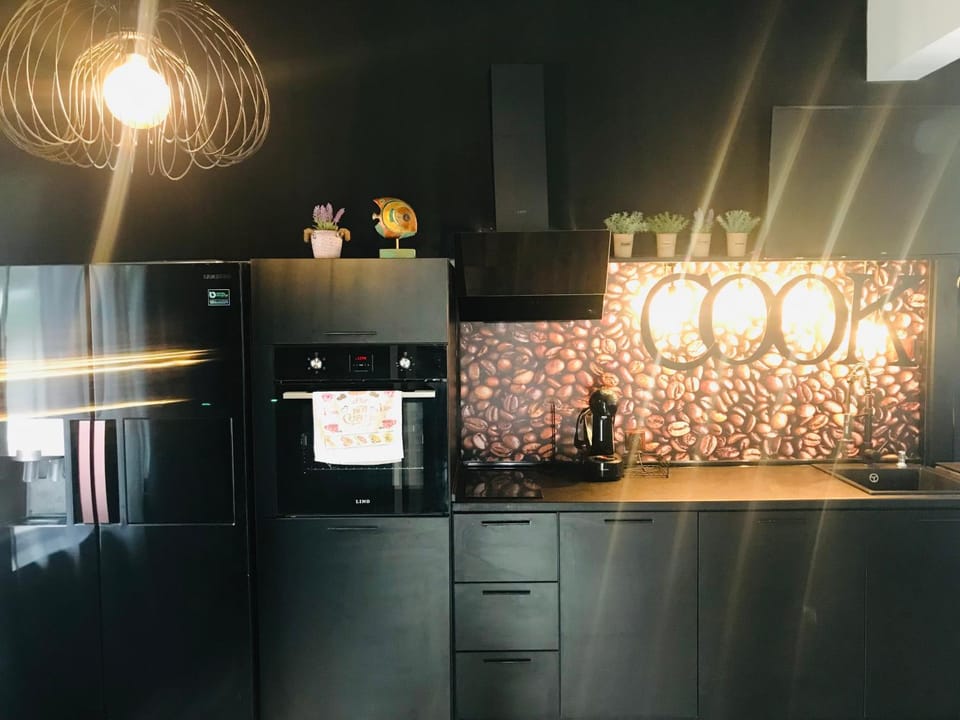 Kitchen or kitchenette, minibar, oven, pet friendly