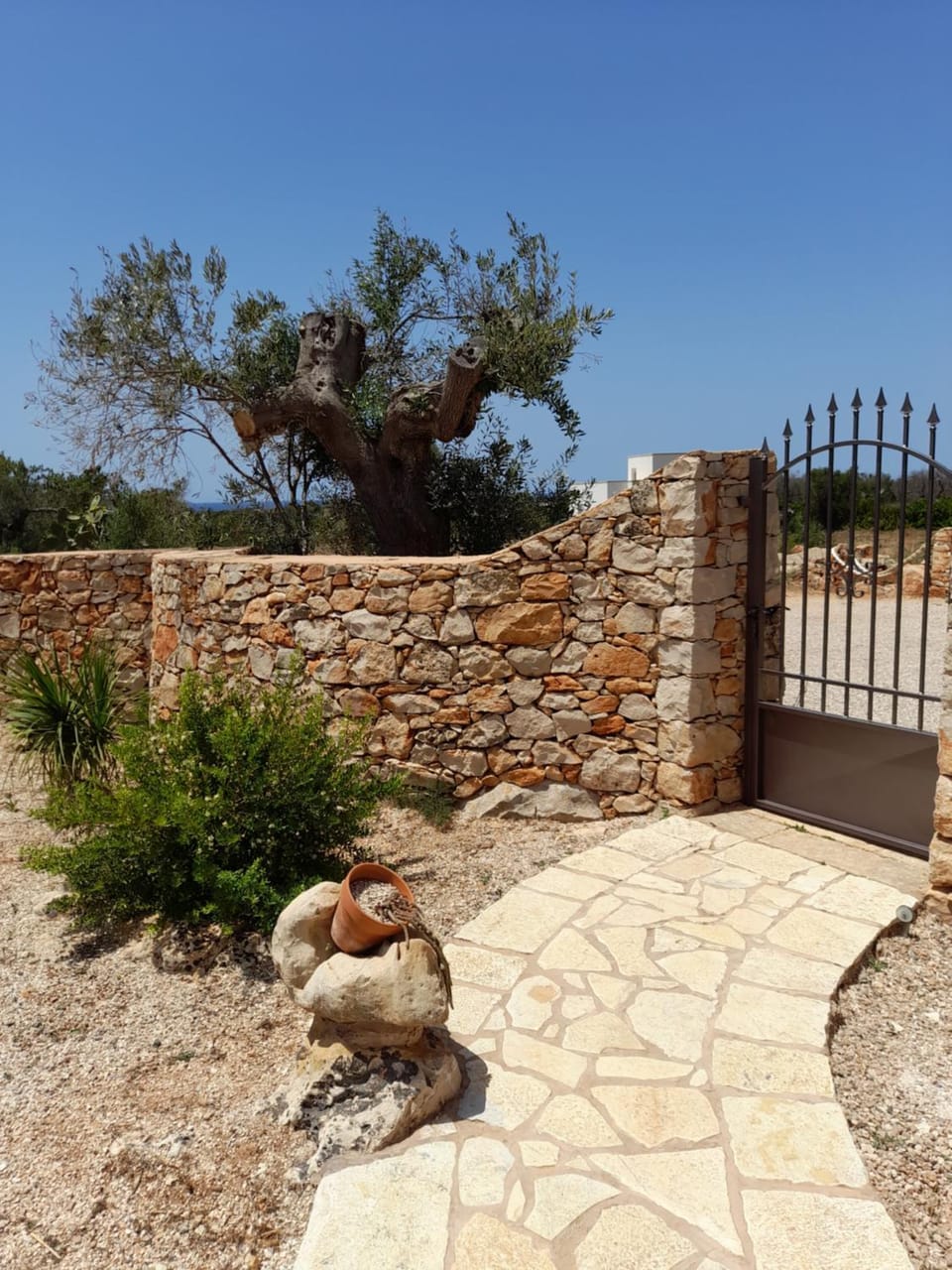 Trullo "Il fico d'india" House in Apulia
