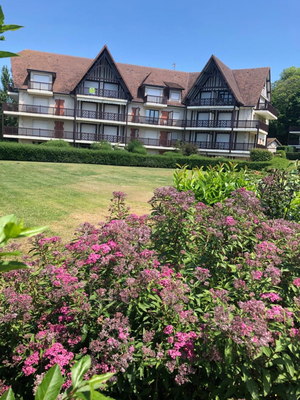 Property building, Garden