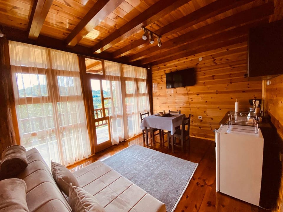 TV and multimedia, Kitchen or kitchenette, Living room, Seating area, Dining area, minibar