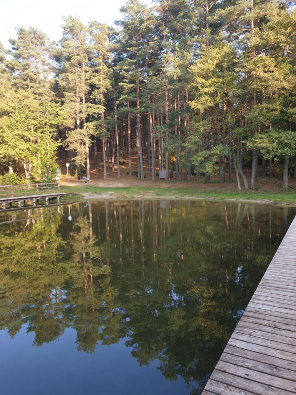Leśny Azyl Bory Tucholskie Villa in Pomeranian Voivodeship