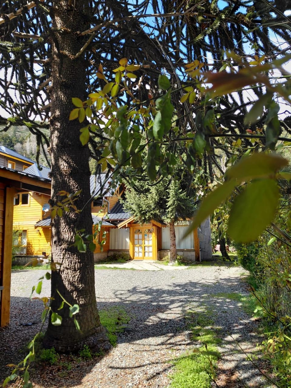 Casa céntrica SONNE San Martín de los Andes House in San Martín de los Andes