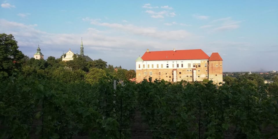 Apartament Przy Długosza Apartment in Poland
