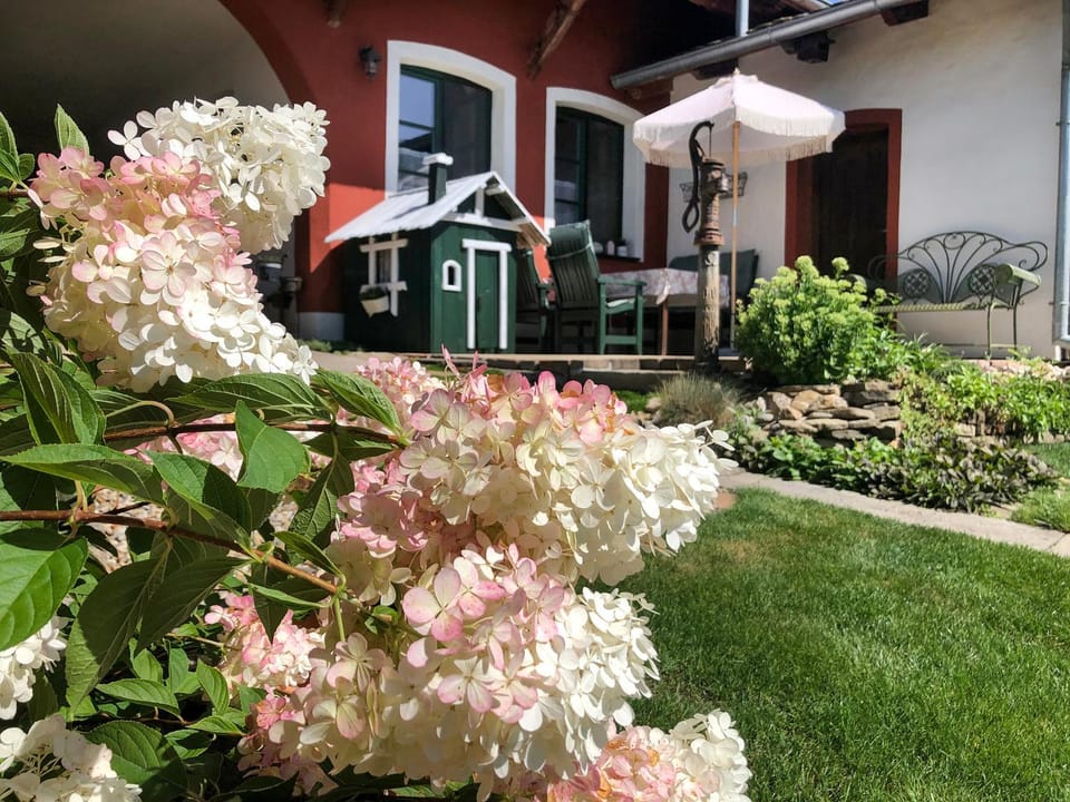 Property building, Garden, Garden view