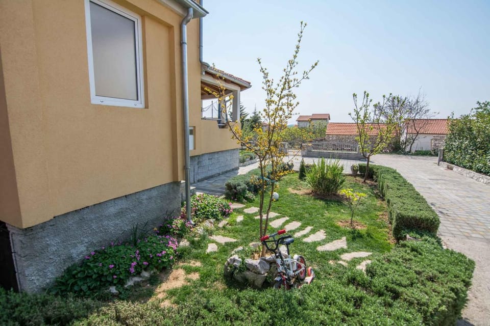 Property building, Summer, Garden