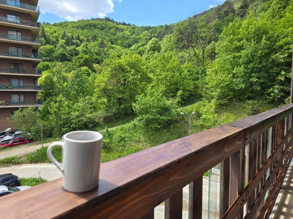Tampa Gardens Apartment Apartment in Brasov